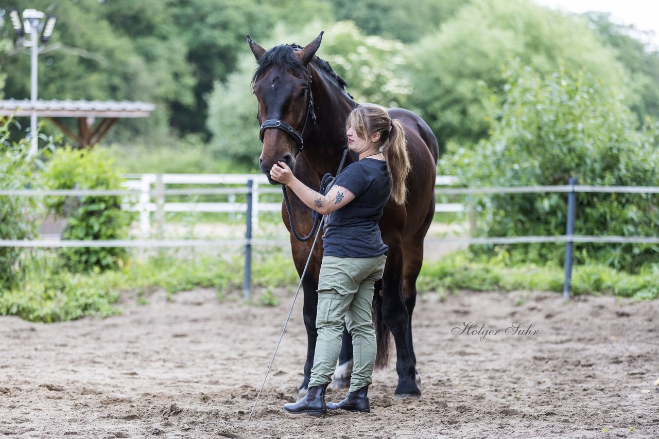 Bild 14 - Vivi
